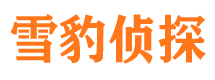 宁都市私家侦探